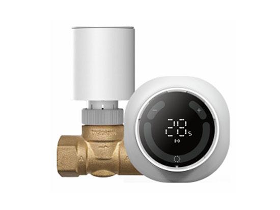 Thermostat de radiateur intelligent SASWELL X