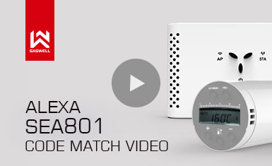 Vanne de radiateur thermostatique Alexa TUYA, vidéo reconnectée Alexa TRV SEA801